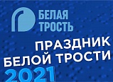 «Культурный код слепых: белая трость-2021»